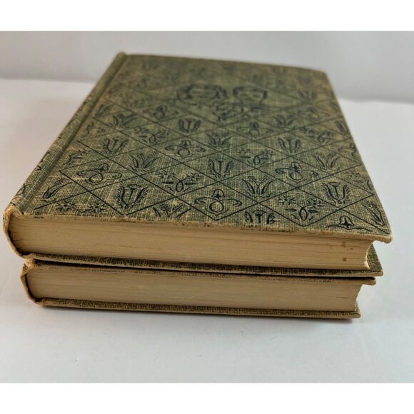 Two Bobbsey Twins Books On A Ranch and The Bobbsey Twins Laura Lee Hope - Picture 2 of 13